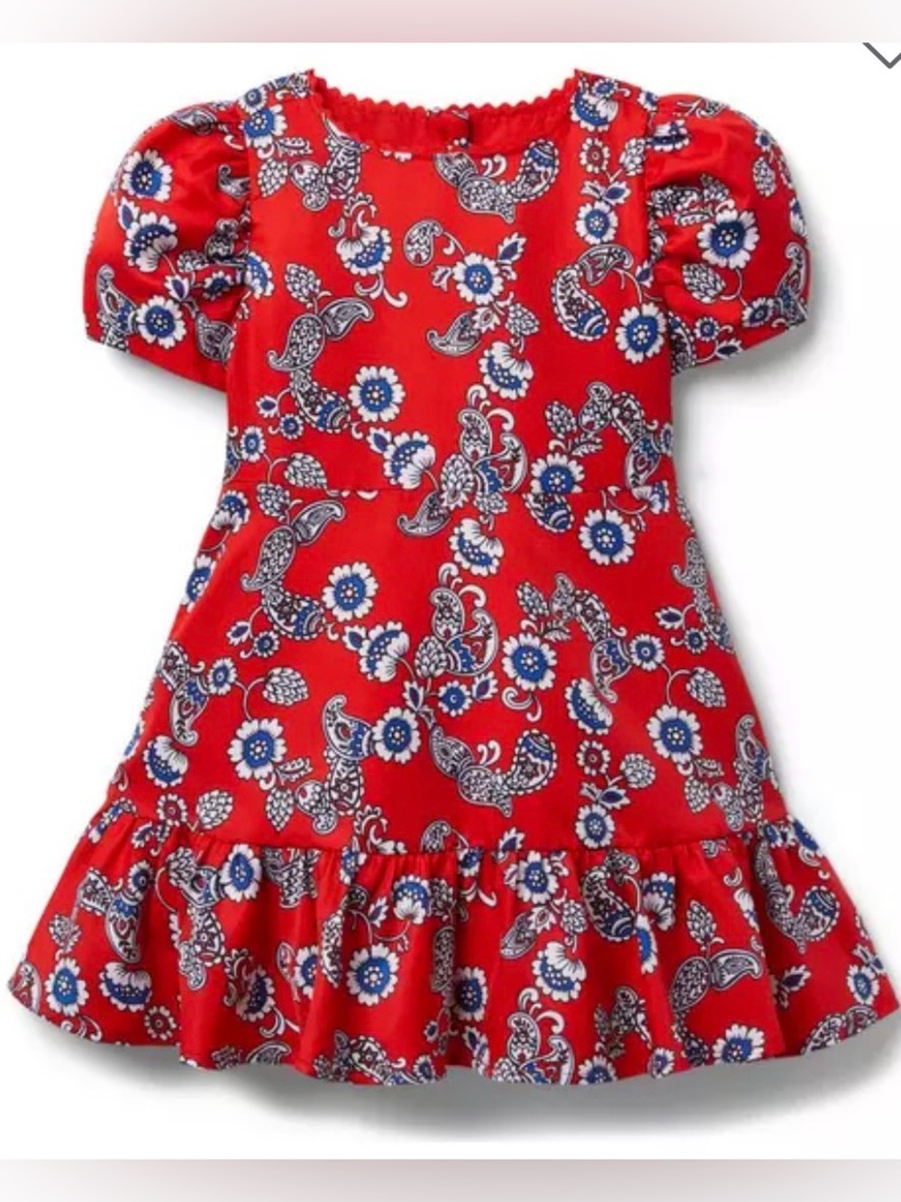 Paisley Floral Puff Sleeve Ruffle Hem Dress